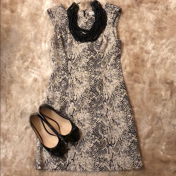 Calvin Klein Dresses & Skirts - Snake print Calvin Klein dress